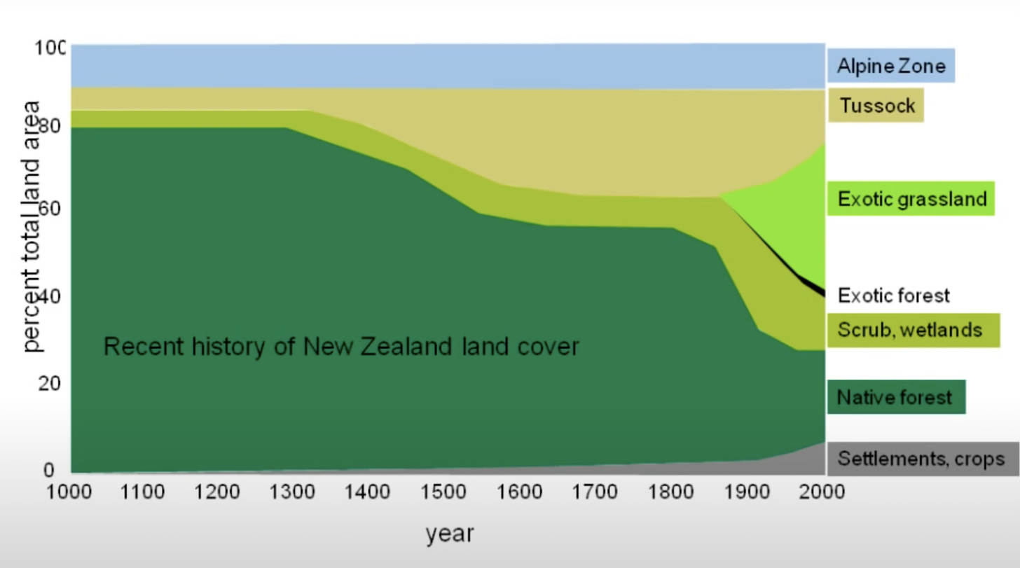 History of New Zealand land cover