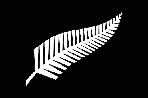 All Blacks Silver Fern