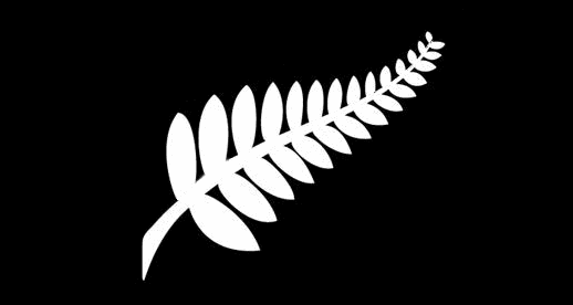My Silver Fern design, 2009
